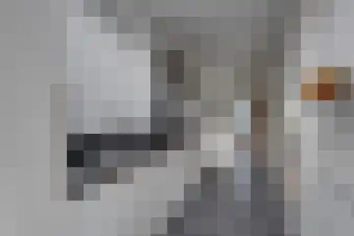 Garvelinkkampweg 31 Ruurlo thumbnail 4