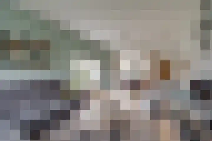 Garvelinkkampweg 31 Ruurlo thumbnail 7