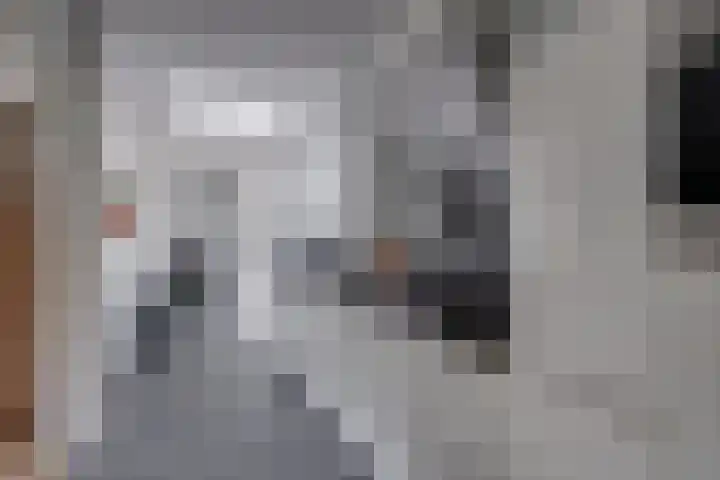 Garvelinkkampweg 31 Ruurlo thumbnail 9