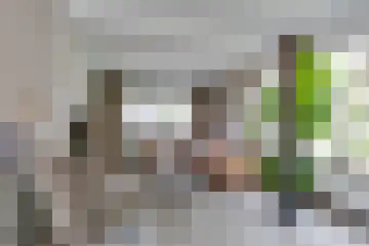 Garvelinkplein 1 Ruurlo thumbnail 10