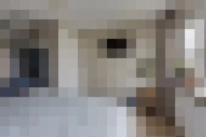 Garvelinkplein 1 Ruurlo thumbnail 25