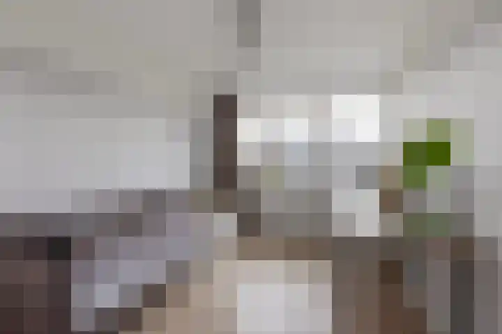 Garvelinkplein 1 Ruurlo thumbnail 30
