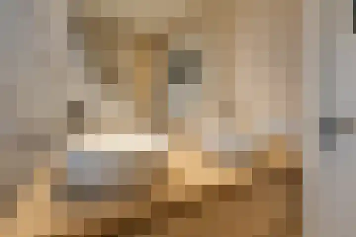 Garvelinkplein 1 Ruurlo thumbnail 33