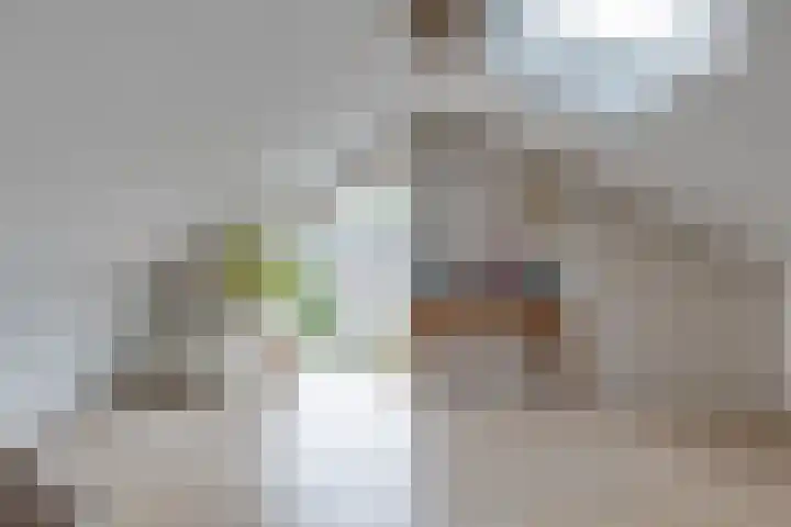 Garvelinkplein 1 Ruurlo thumbnail 37