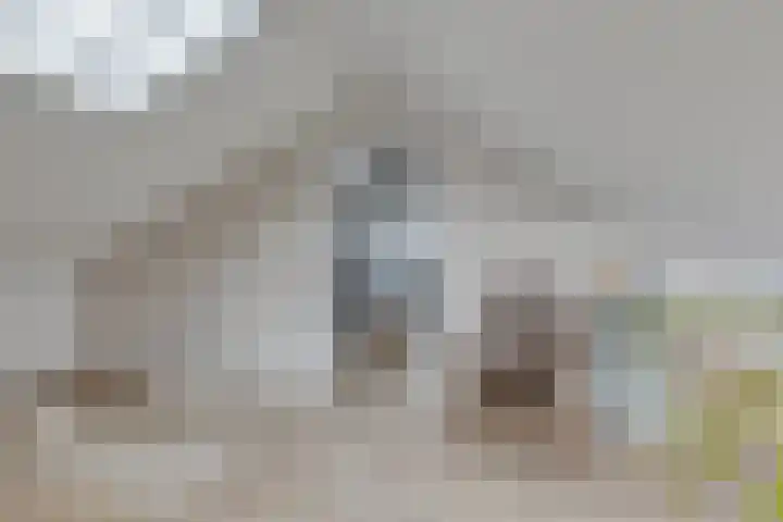 Garvelinkplein 1 Ruurlo thumbnail 38