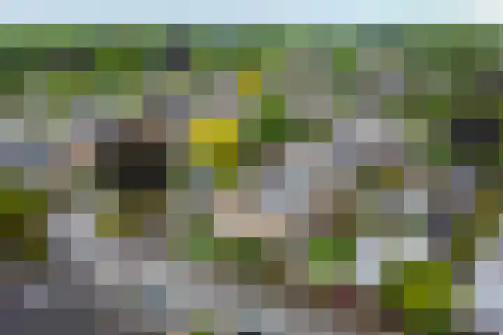 Garvelinkplein 1 Ruurlo thumbnail 4