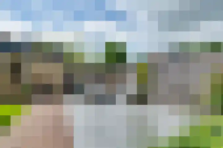 Garvelinkplein 1 Ruurlo thumbnail 44