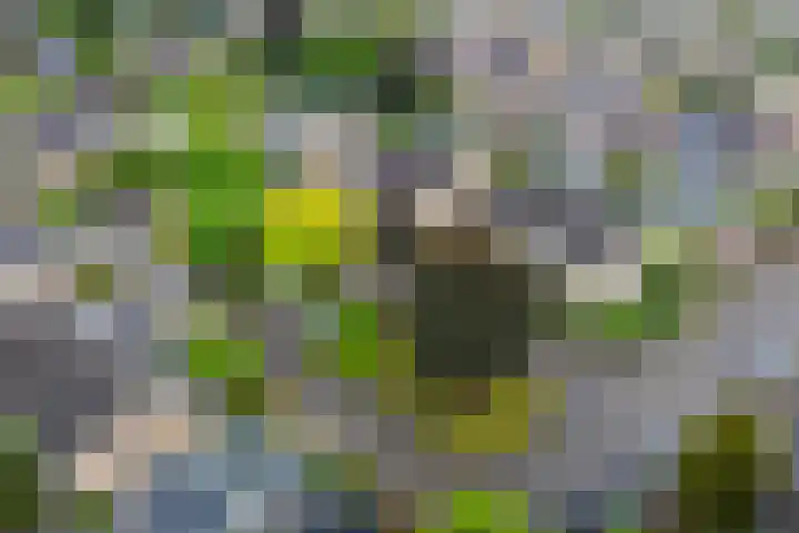 Garvelinkplein 1 Ruurlo thumbnail 54