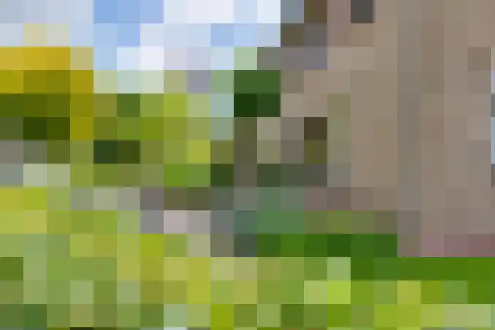Garvelinkplein 1 Ruurlo thumbnail 7