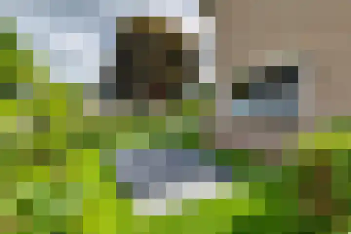Garvelinkplein 1 Ruurlo thumbnail 8