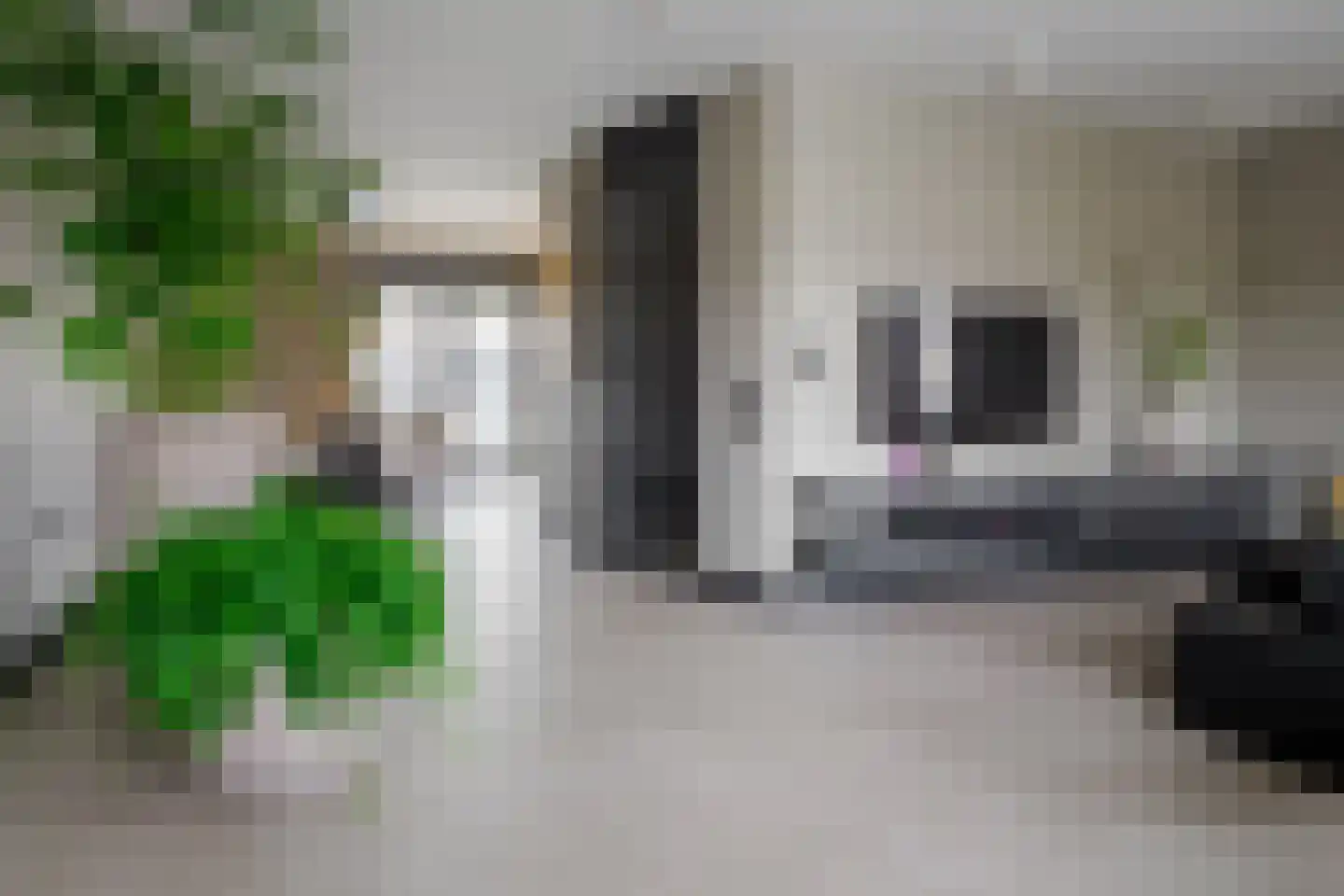 Garvesingel 282 Vriezenveen thumbnail 19