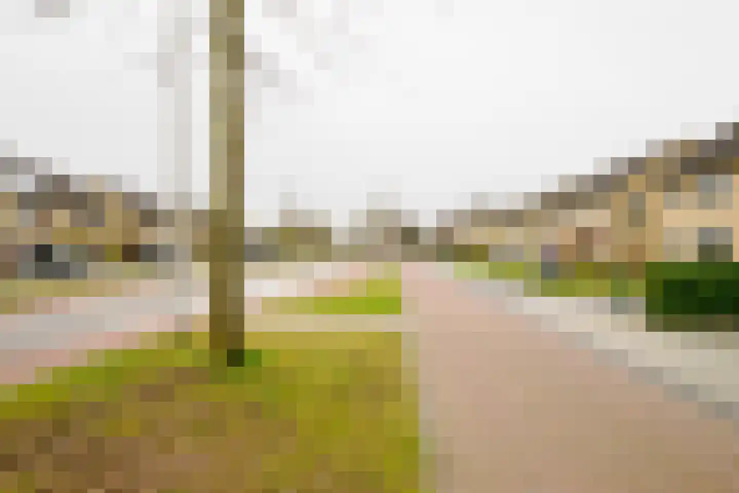 Garvesingel 282 Vriezenveen thumbnail 54
