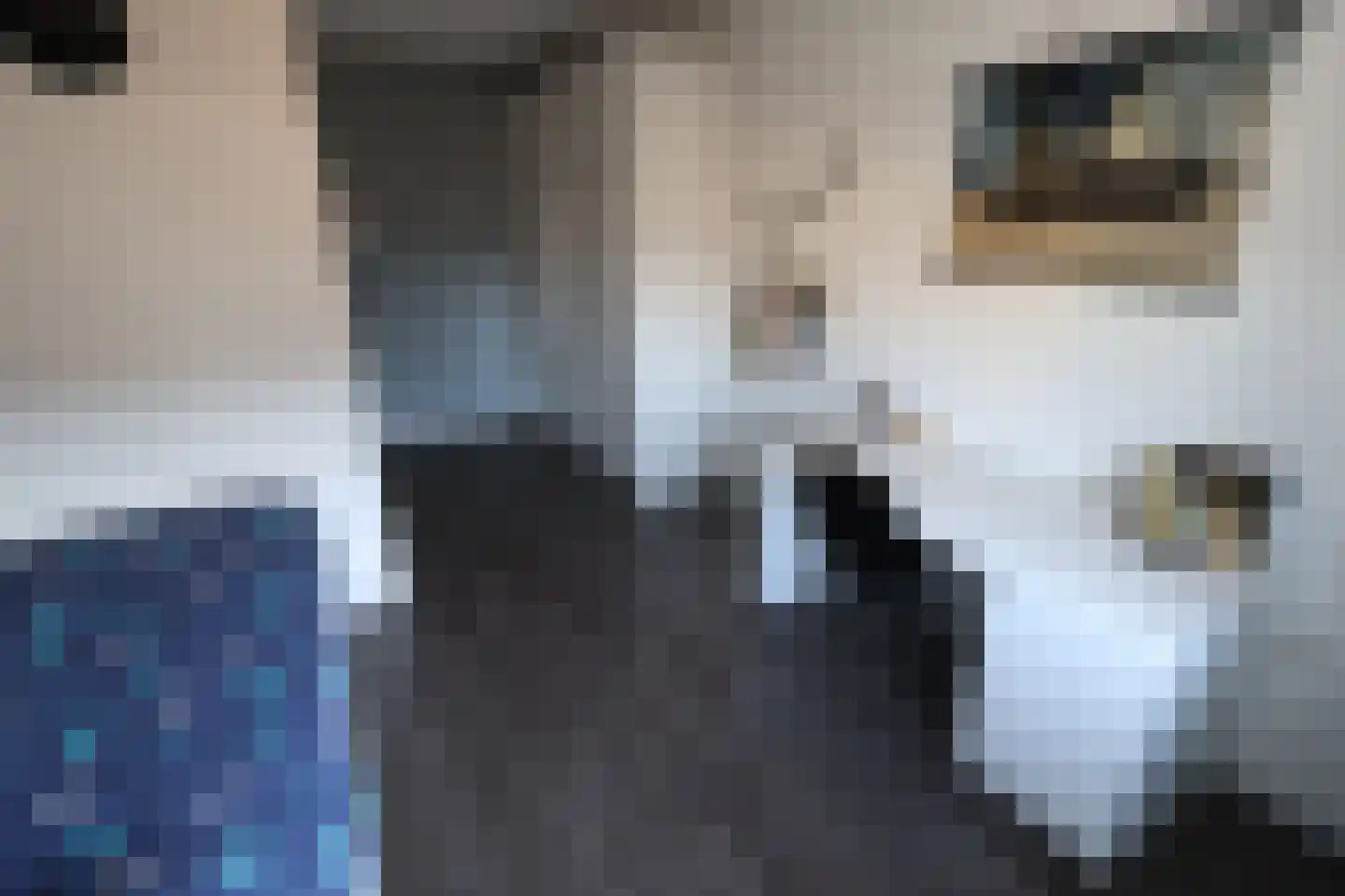 Garvesingel 286 Vriezenveen thumbnail 18