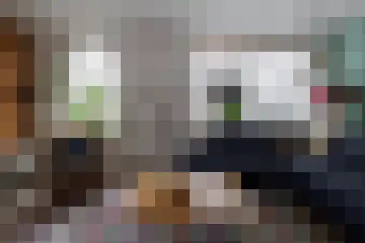 Garvesingel 68 Vriezenveen thumbnail 13