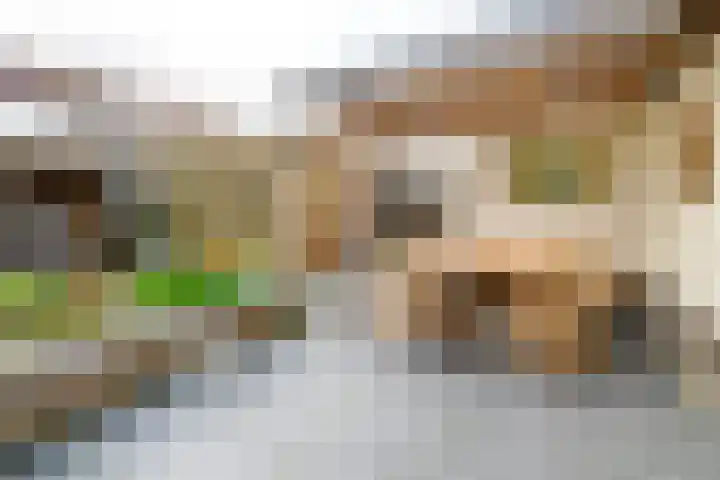 Garvesingel 68 Vriezenveen thumbnail 6