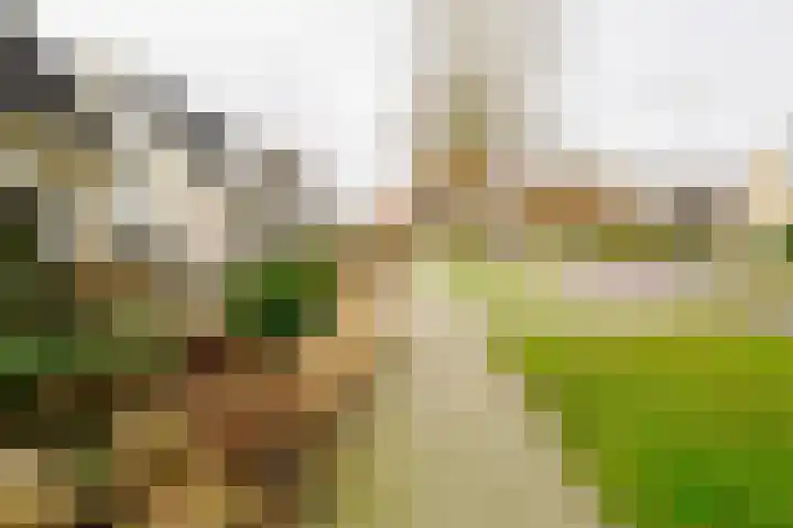 Garvesingel 68 Vriezenveen thumbnail 63