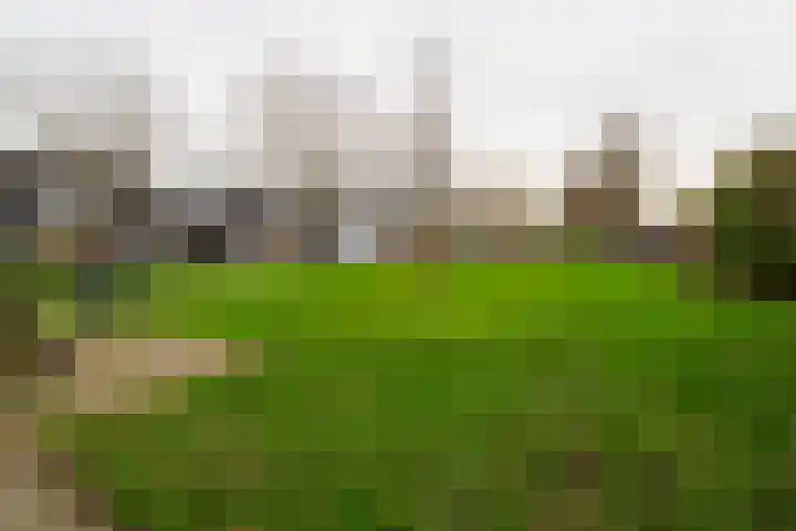 Garvesingel 68 Vriezenveen thumbnail 64