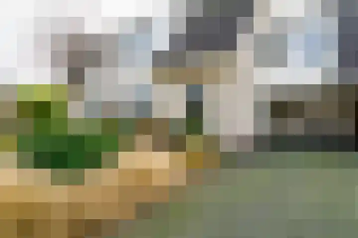 Garvesingel 68 Vriezenveen thumbnail 7