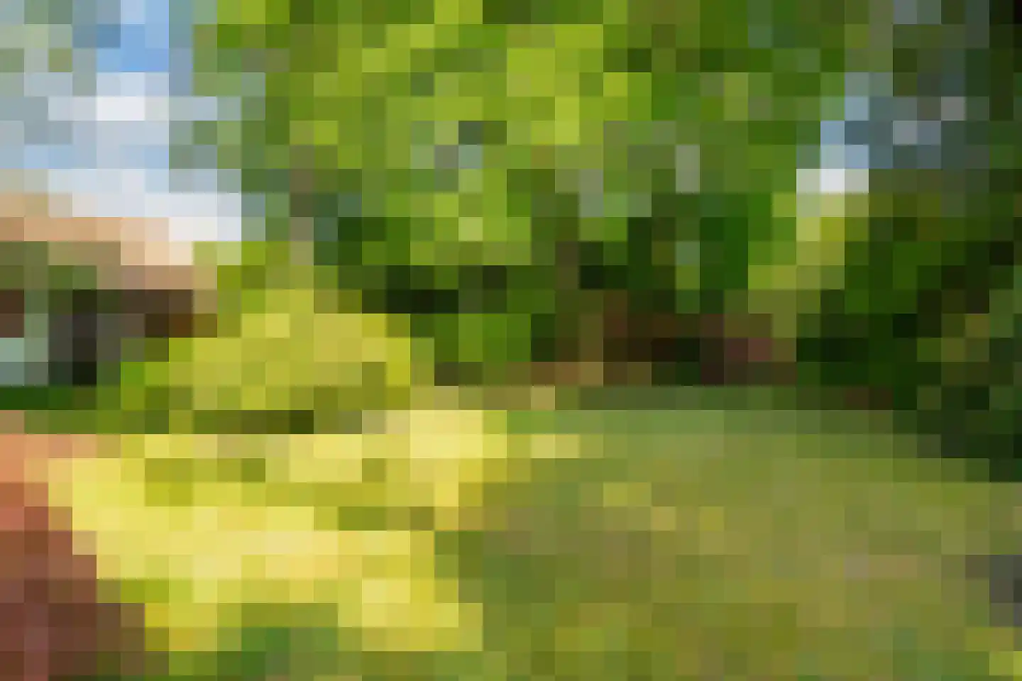 Garvesingel 69 Vriezenveen thumbnail 25
