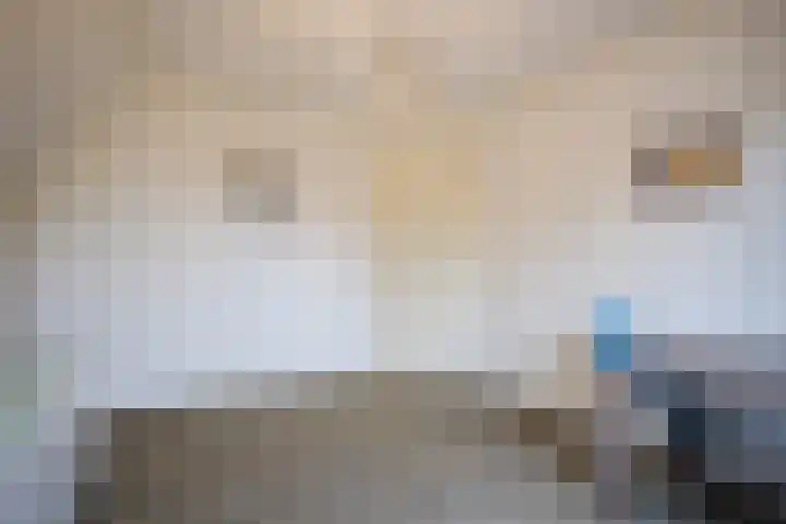 Garvesingel 69 Vriezenveen thumbnail 32