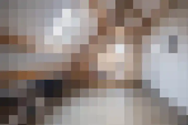 Garvesingel 69 Vriezenveen thumbnail 35