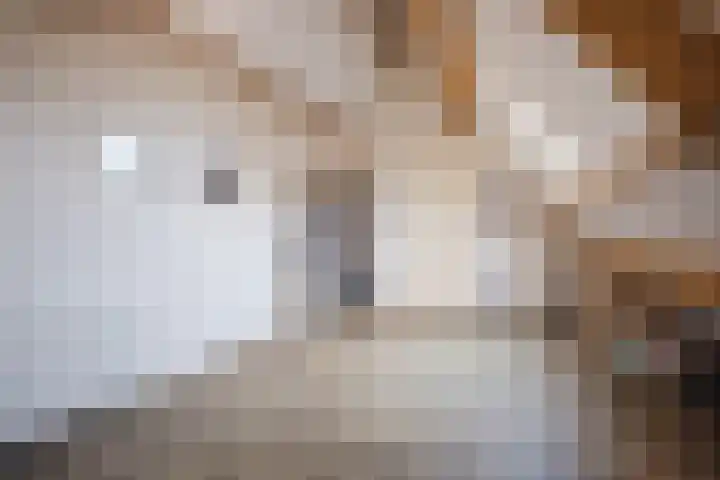 Garvesingel 69 Vriezenveen thumbnail 36