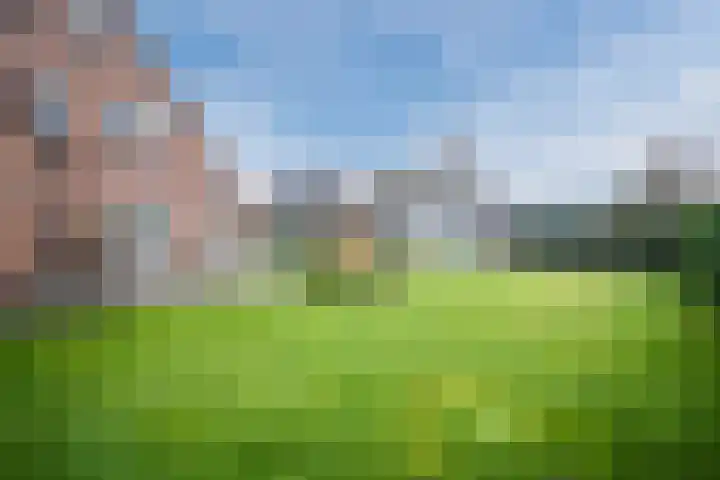 Garvesingel 69 Vriezenveen thumbnail 45
