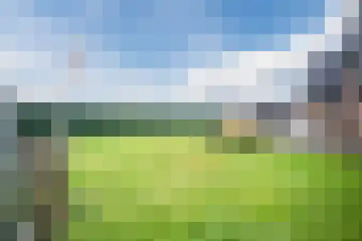Garvesingel 69 Vriezenveen thumbnail 47
