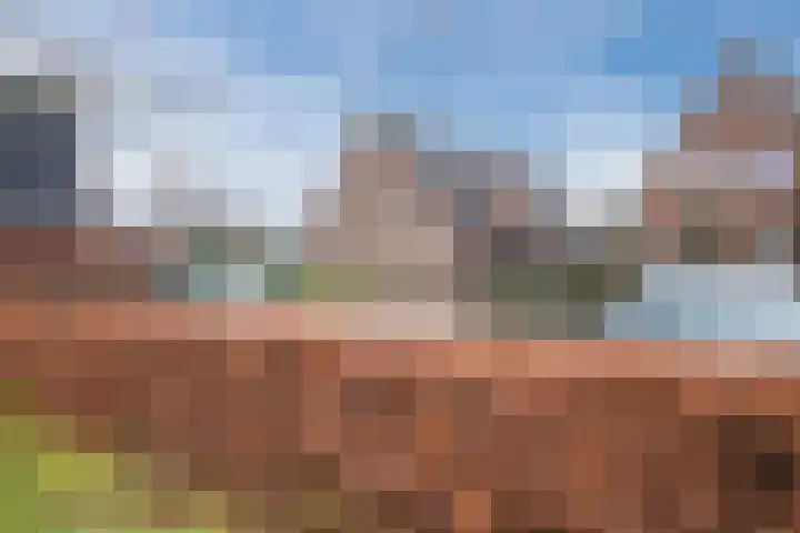 Garvesingel 69 Vriezenveen thumbnail 5