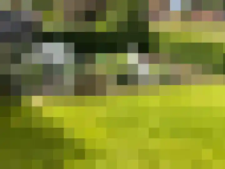 Garvesingel 69 Vriezenveen thumbnail 53