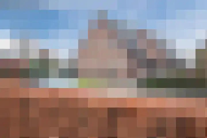 Garvesingel 69 Vriezenveen thumbnail 6