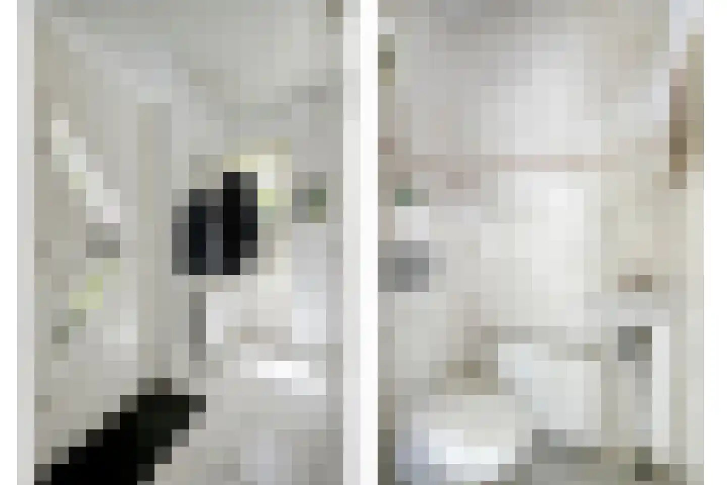 Gascognehof 42 Eindhoven thumbnail 11