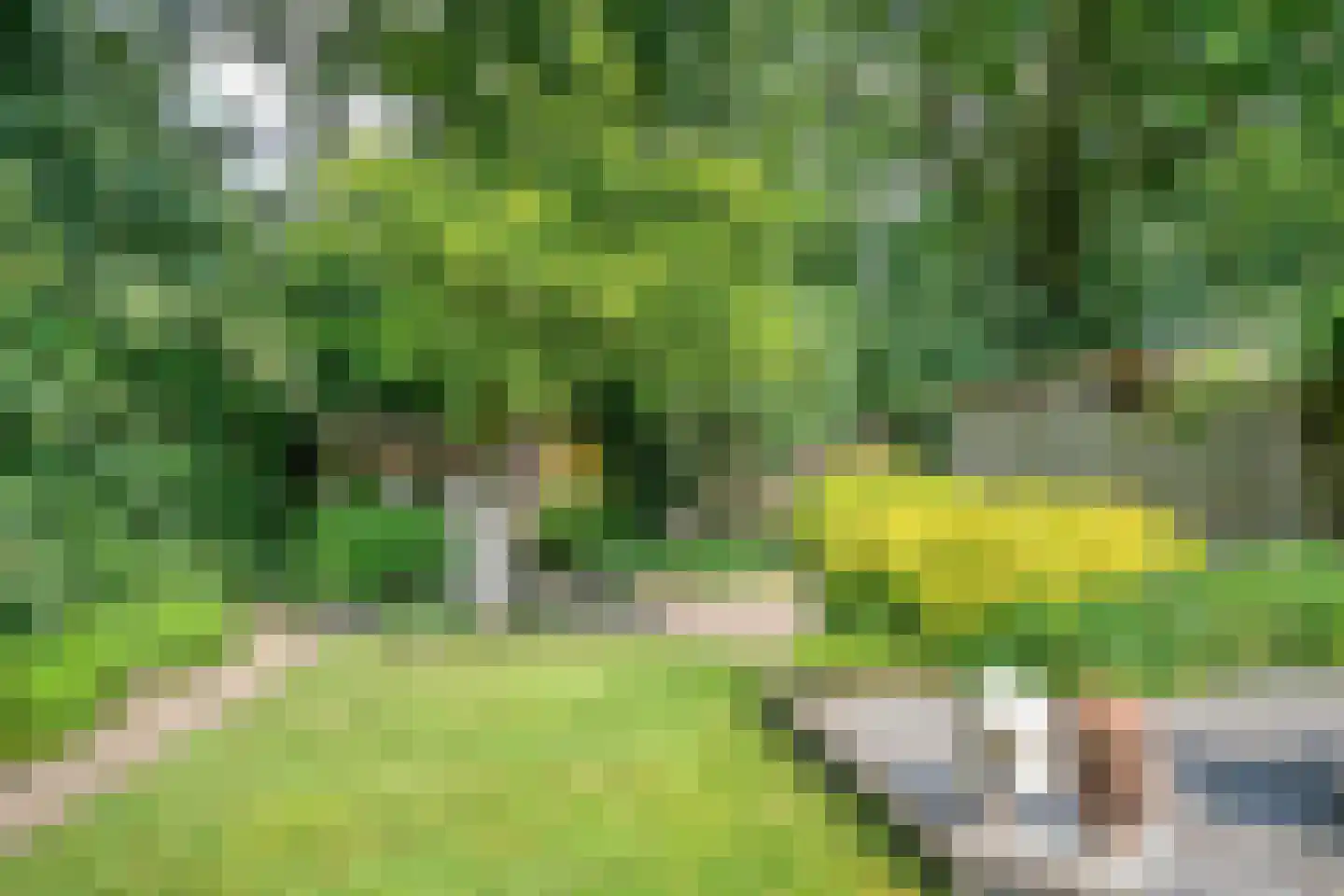 Gascognehof 42 Eindhoven thumbnail 28
