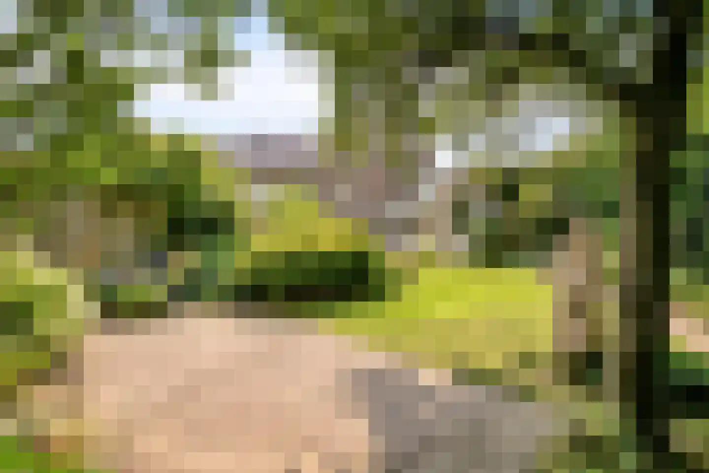 Gascognehof 42 Eindhoven thumbnail 29