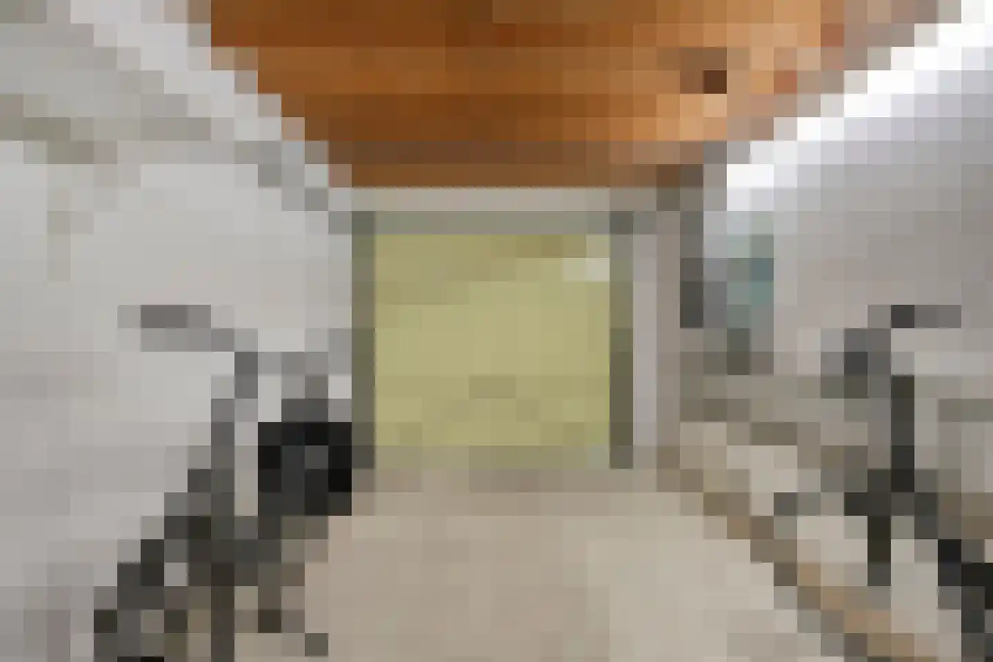 Gascognehof 42 Eindhoven thumbnail 33