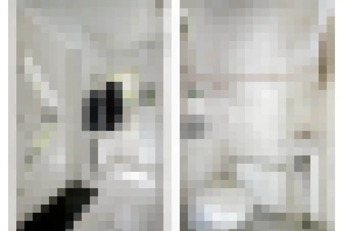 Gascognehof 42 Eindhoven thumbnail 6