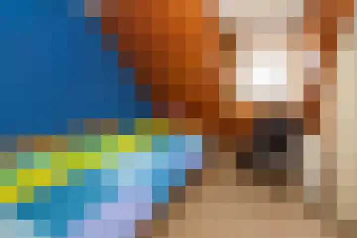 Gasfabriekstraat 9 Brummen thumbnail 17