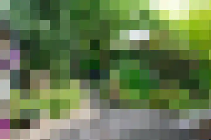 Gasfabriekstraat 9 Brummen thumbnail 27