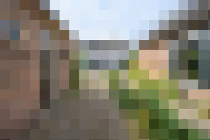 Gasfabriekstraat 9 Brummen thumbnail 34
