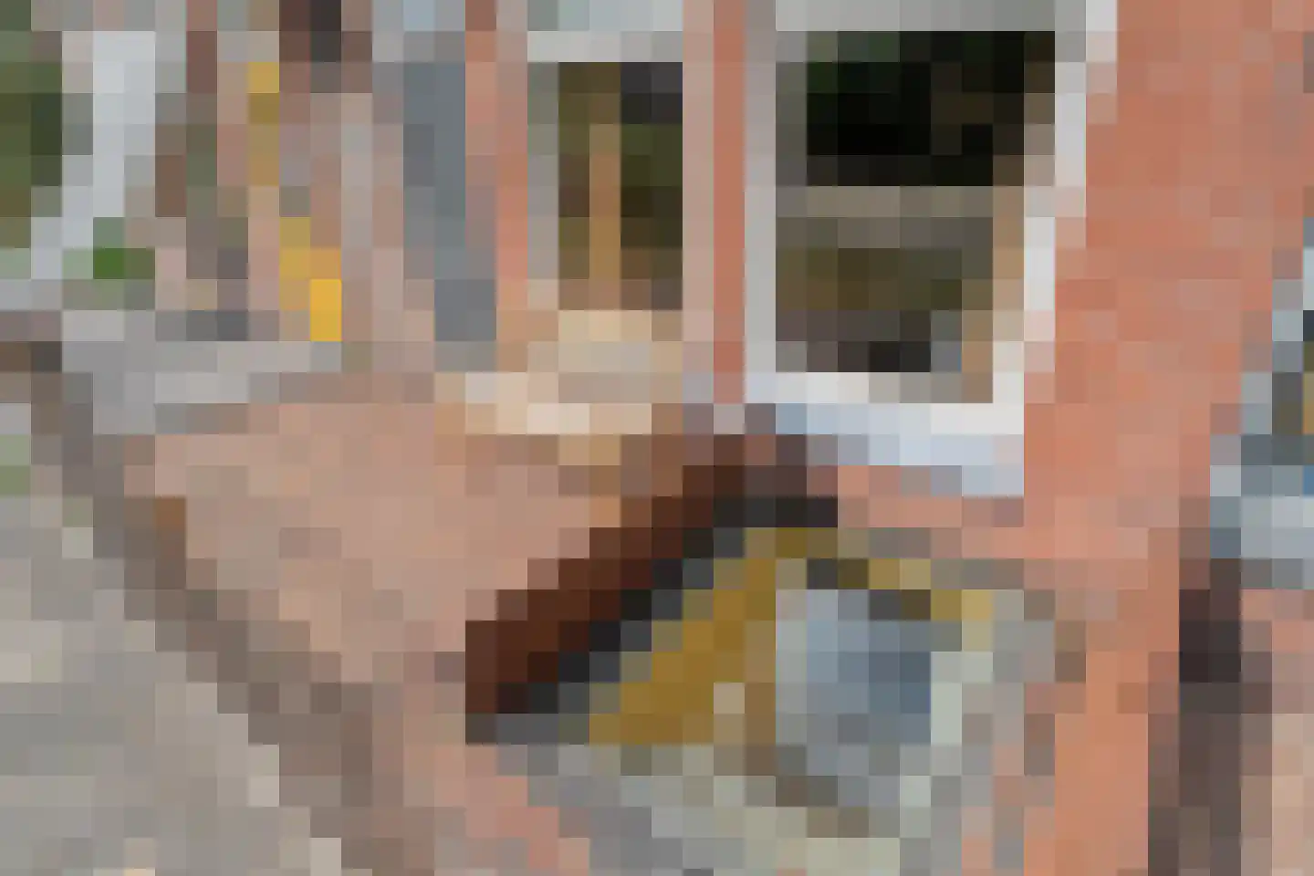Gasgracht 43 Meppel thumbnail 24