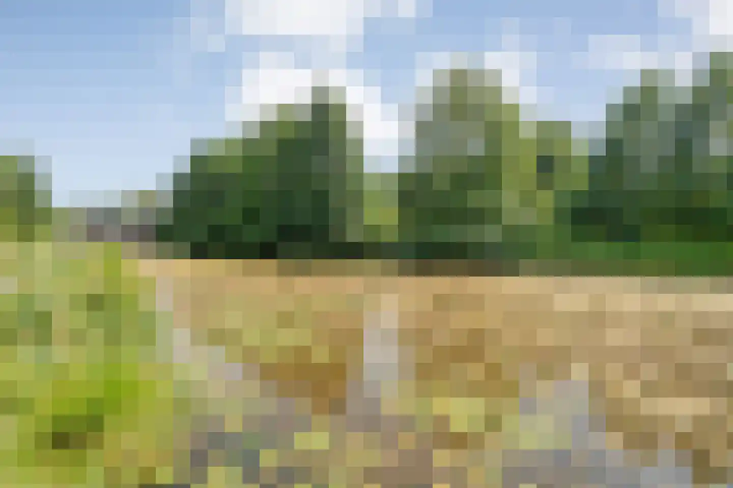 Gasgracht 43 Meppel thumbnail 39