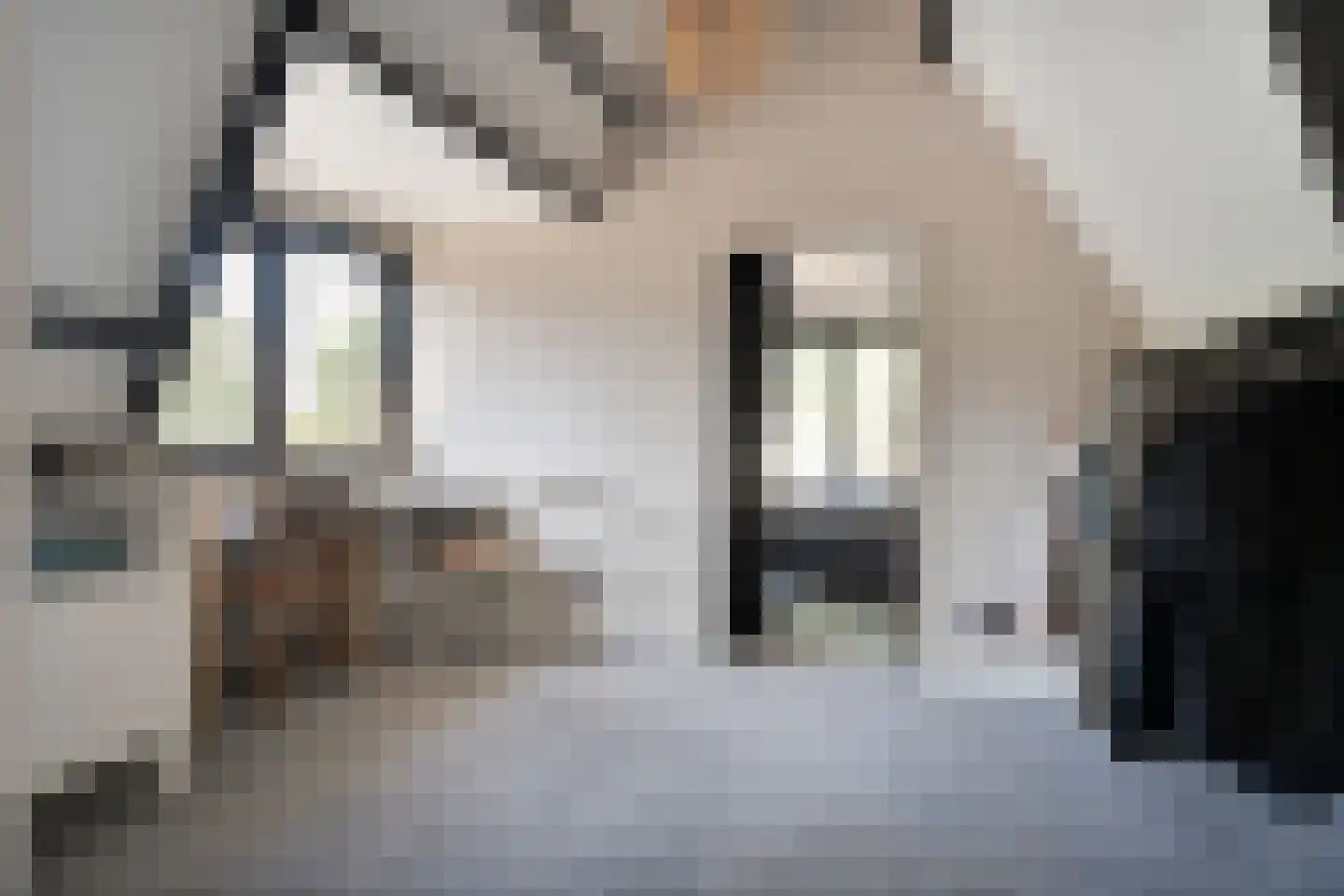Gasgracht 45 Meppel thumbnail 20