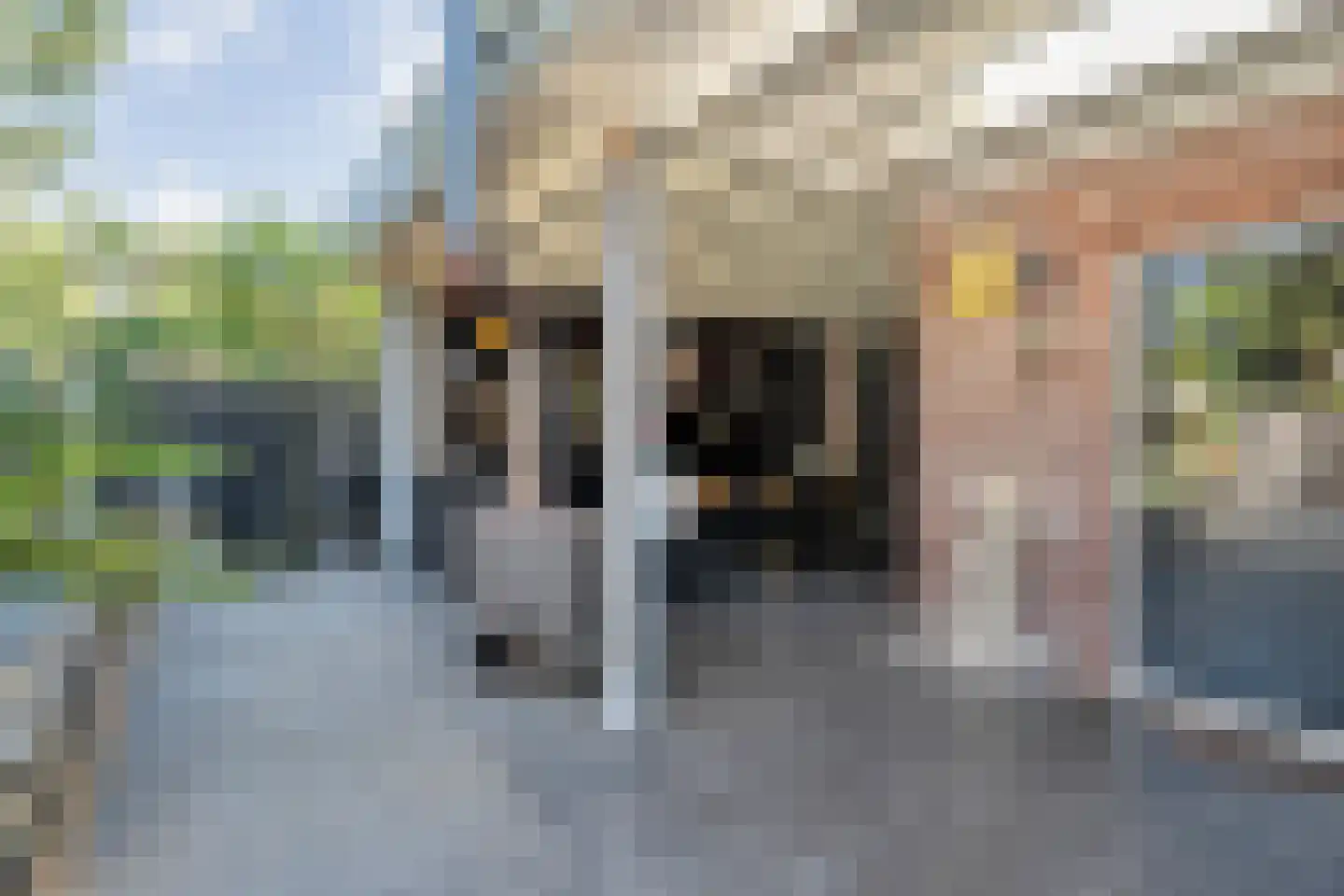 Gasgracht 45 Meppel thumbnail 37