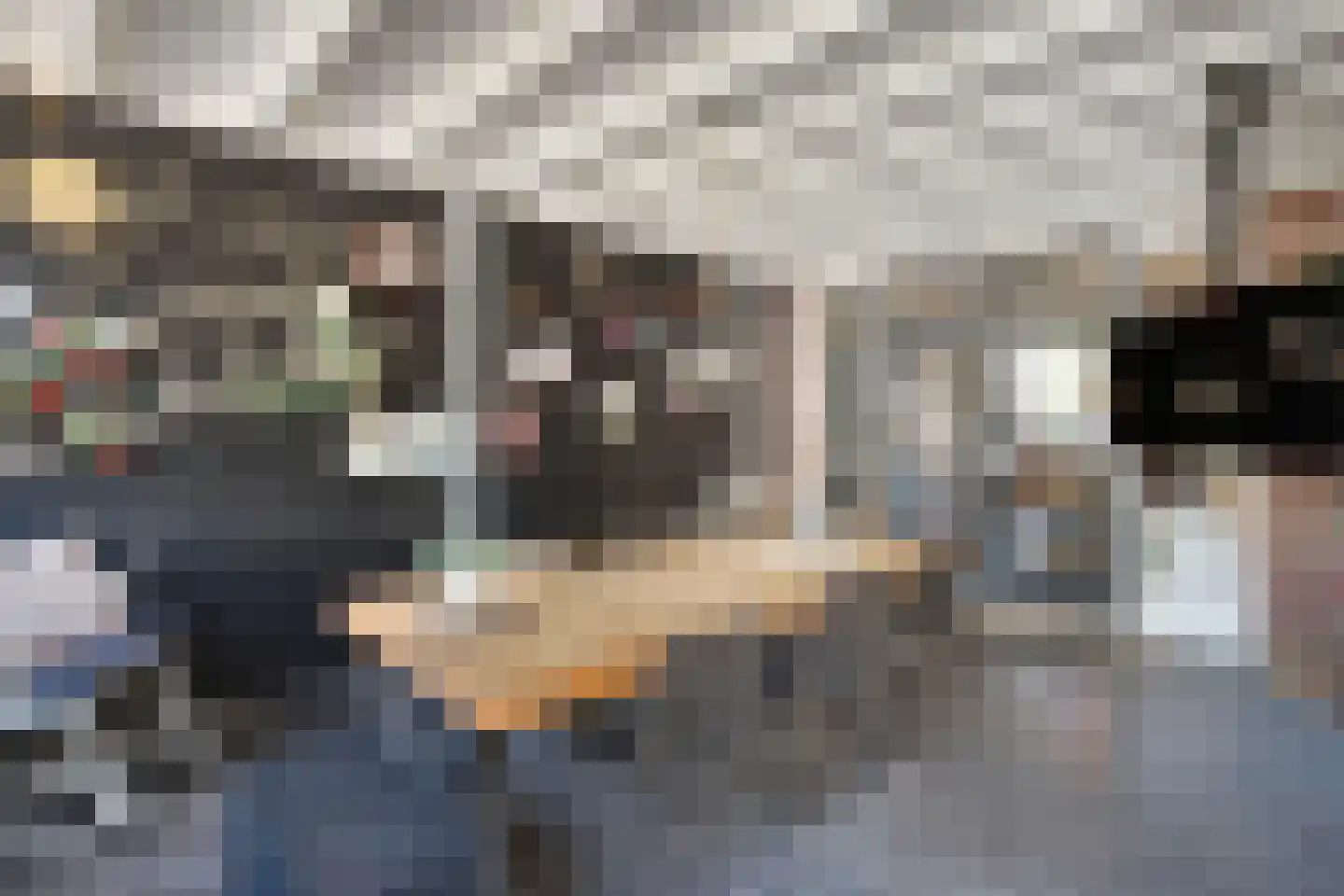 Gasgracht 45 Meppel thumbnail 39