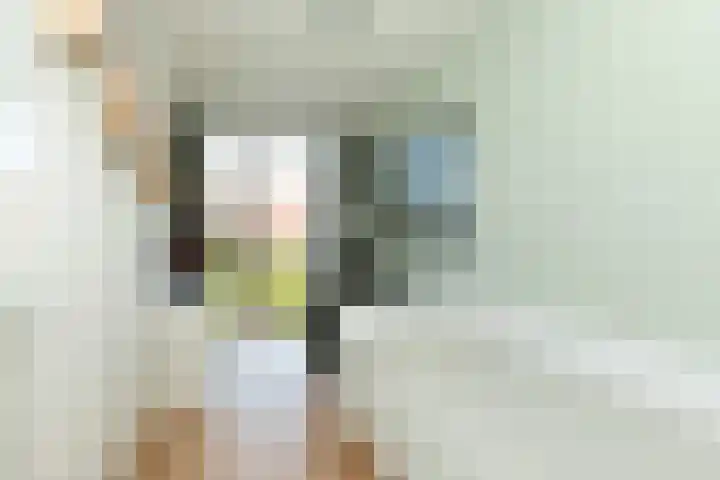 Gashouder 17 Hilversum thumbnail 18