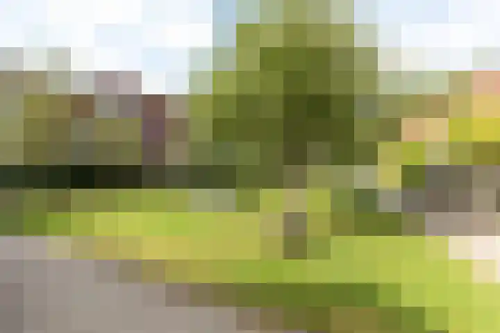 Gashouder 17 Hilversum thumbnail 36