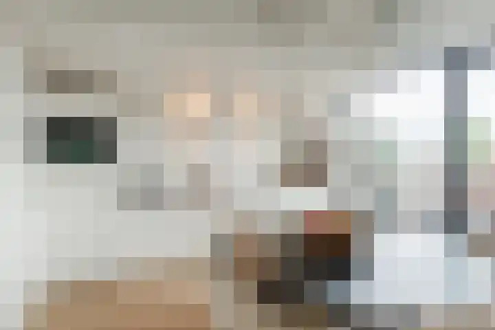 Gashouder 27 Eindhoven thumbnail 19
