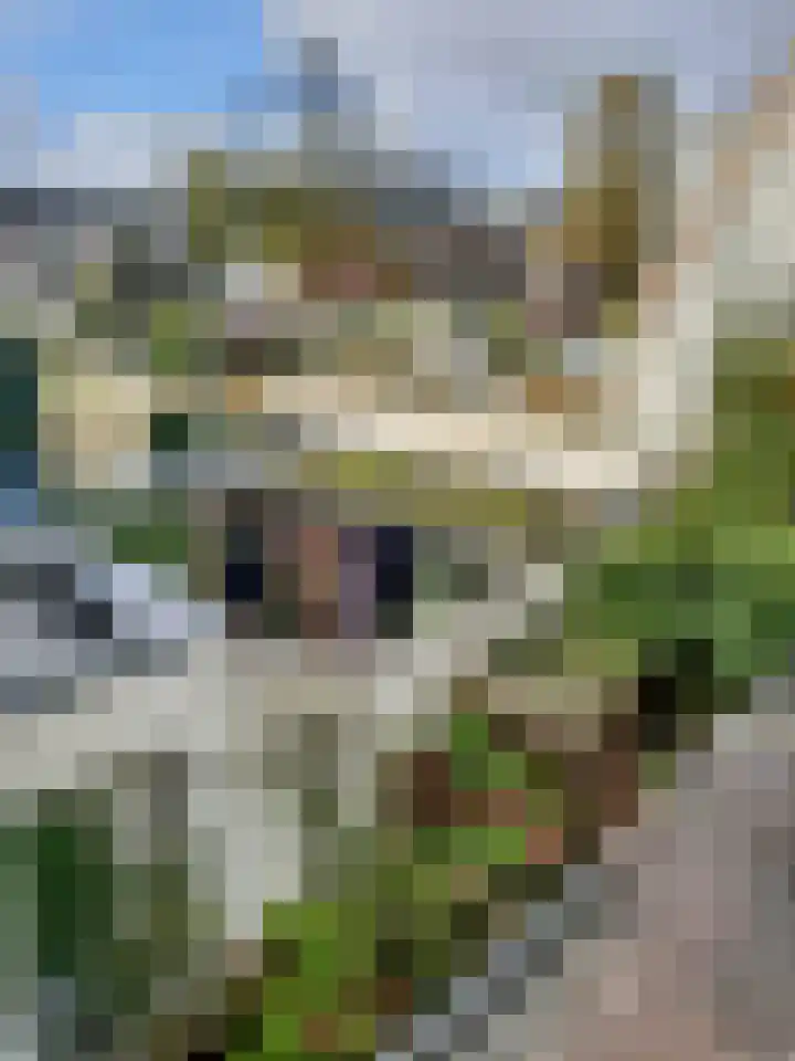 Gashouderstraat 31 Alkmaar thumbnail 22