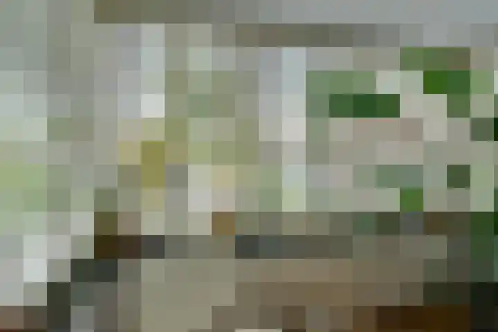 Gasinjetstraat 18 Purmerend thumbnail 13