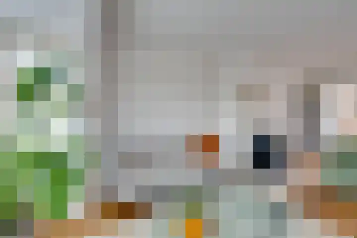 Gasinjetstraat 18 Purmerend thumbnail 16